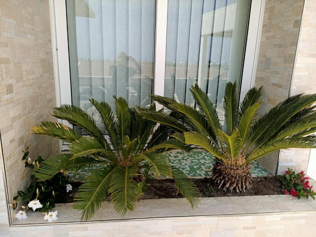 Zahrada ubytování Hotel Verona