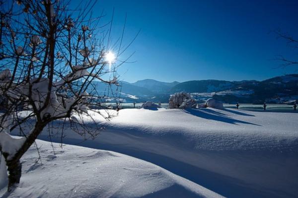 Příroda nedaleko penzionu – hostince