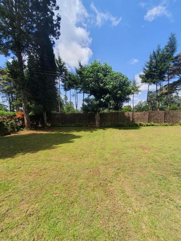 a large yard with a fence and trees at Thayo Place in Nyeri