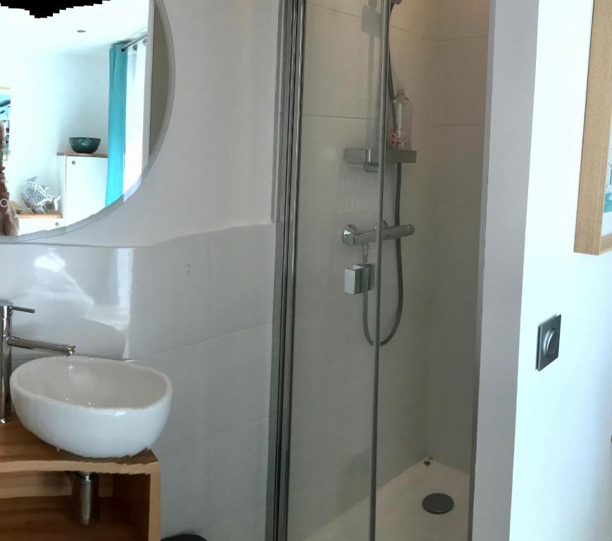 Koupelna v ubytování LA MAISON DE LA DUNE - Chambres Climatisées - Jacuzzi 1ère séance offerte - Piscine chauffée avec Abri Amovible - Plage située à 200m, accès direct par le bois