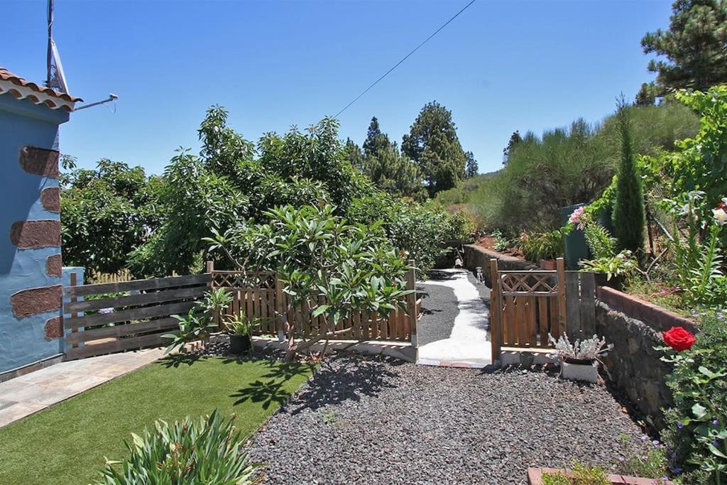 Vonkajšia záhrada v ubytovaní Casa Rosales with Pool & Wifi