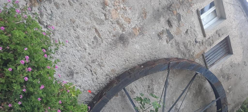 Jízda na kole v ubytování VECCHIO MULINO FONTONA Ortensia nebo okolí