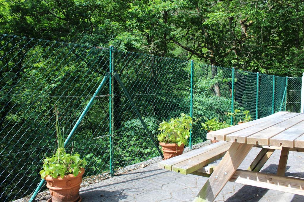 Zahrada ubytování Vivienda vacacional La Güera - Casas de los Picos