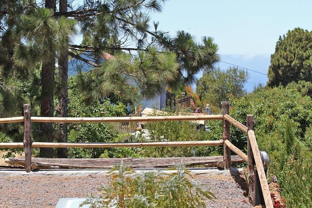 蓬塔戈爾達的住宿－Casa Los Pinos - Sunset & WIFI，树木和灌木花园中的木栅栏