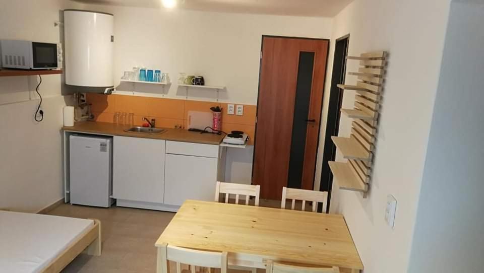 Kuchyň nebo kuchyňský kout v ubytování Apartmán u Kočky