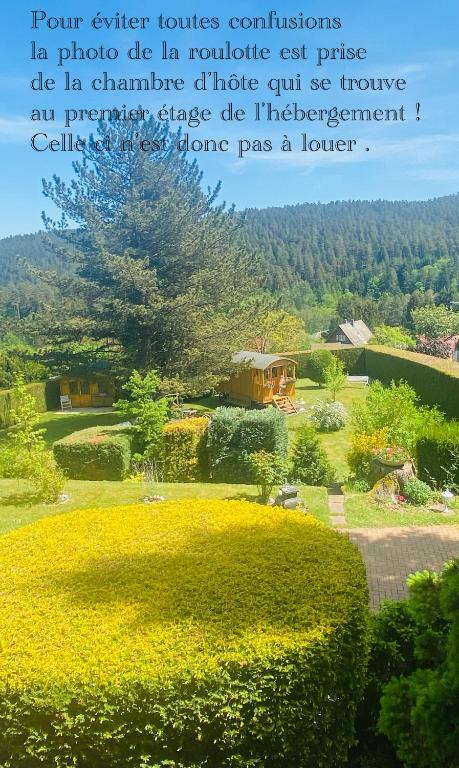 una citazione su un giardino fiorito con una casa sullo sfondo di L’hippocampe a Wangenbourg