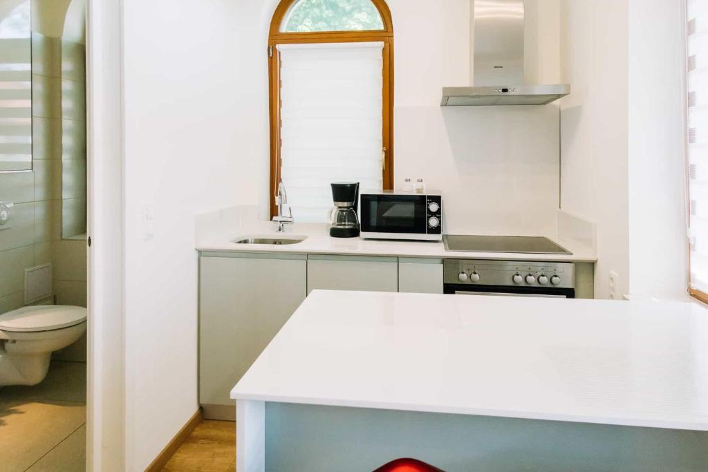 Biała kuchnia ze zlewem i kuchenką w obiekcie Diófa Apartman w mieście Keszthely