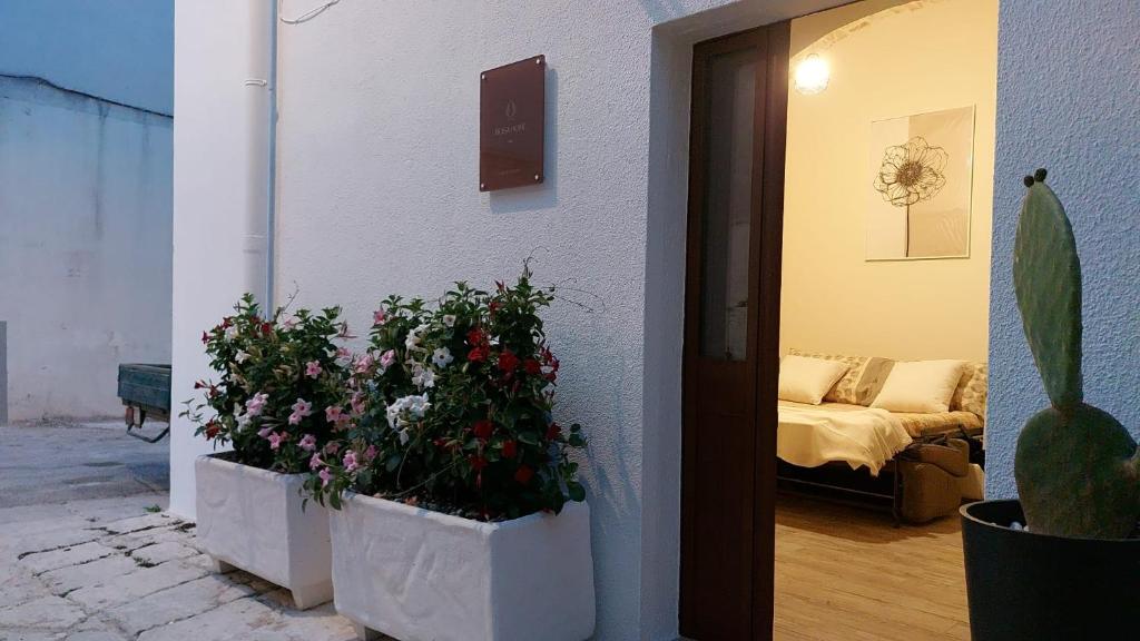 una sala de estar con dos plantadores con flores. en BOSA HOME B&B en Ceglie Messapica