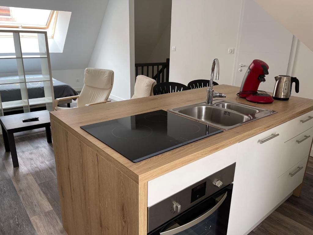 a kitchen with a sink and a counter top at Le 33 le Haut in Belfort