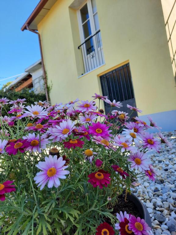 Zahrada ubytování B&B Cà di Bollo