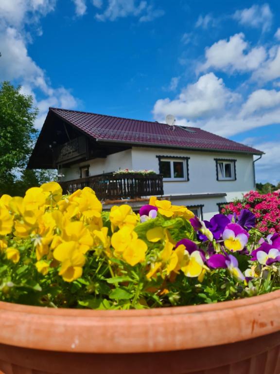 a pot of flowers in front of a house at Ferienwohnung Eva in Grebenhain