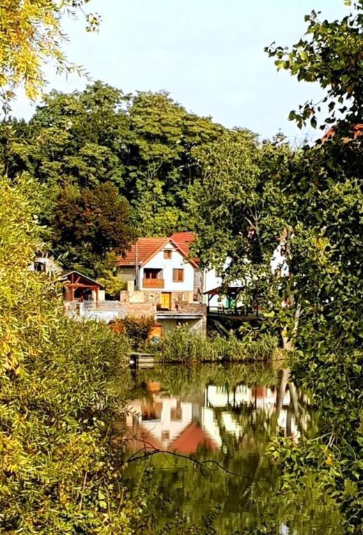 Příroda nedaleko apartmánu