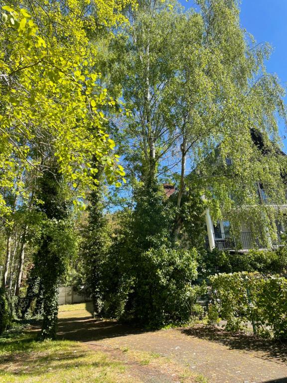 a group of trees in front of a house at Apartamenty Ogrodowa in Jastarnia