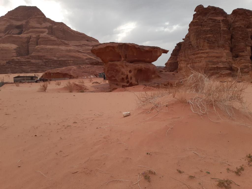 uma vista para o deserto com rochas ao fundo em happiness camp em Wadi Rum