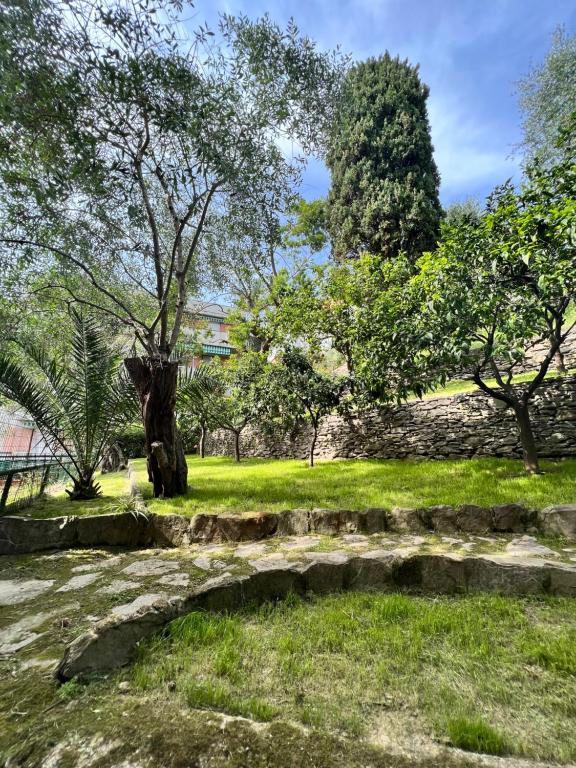 a park with a tree and some grass and trees at Blue Garden in Rapallo