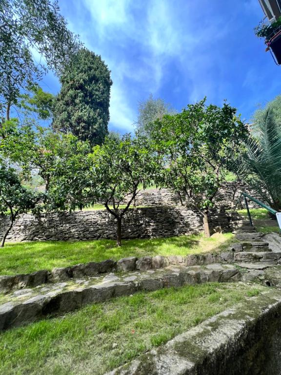 an old stone wall with trees and grass at Blue Garden in Rapallo