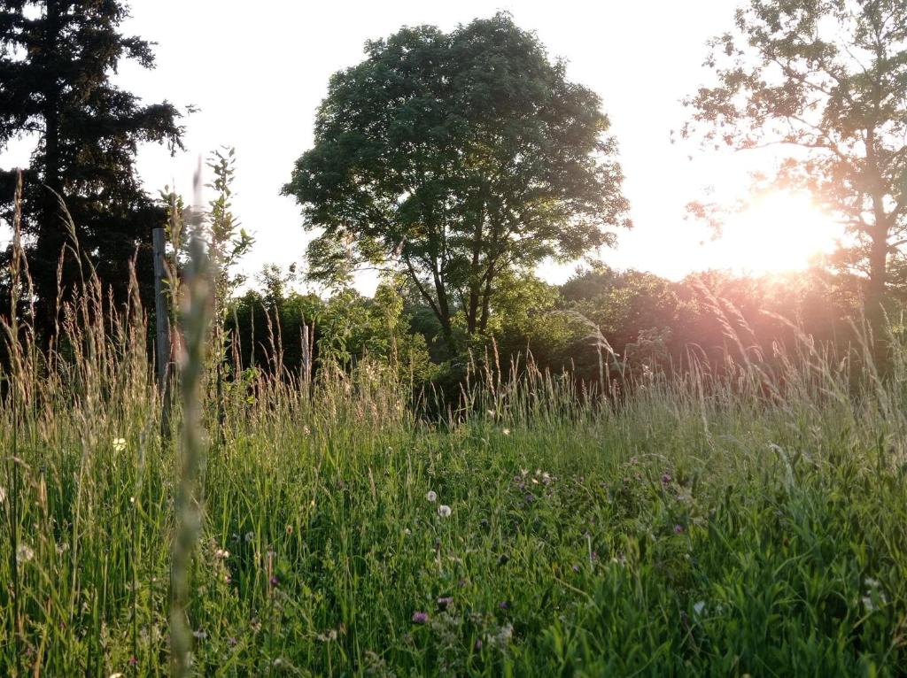 Príroda v okolí apartmánu