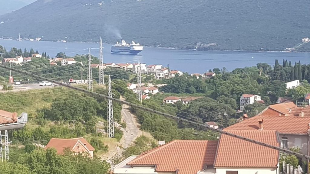 een cruiseschip in een waterlichaam met huizen bij Apartment Lidija in Herceg-Novi
