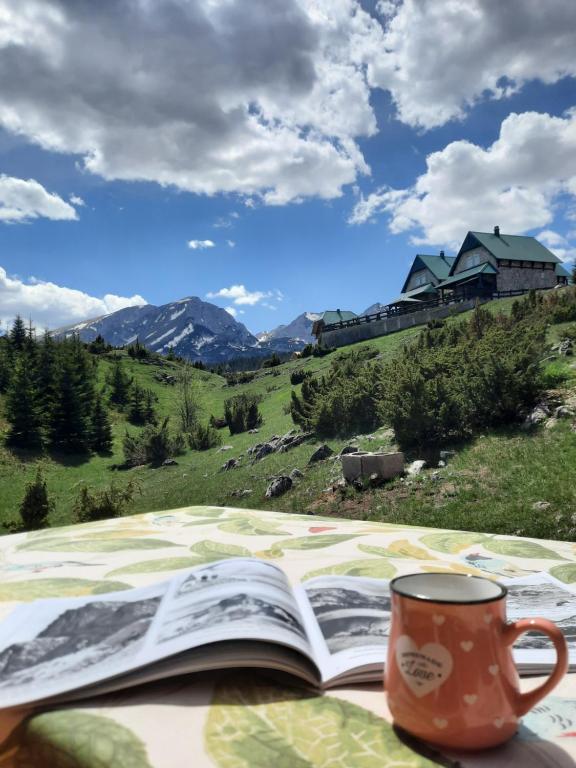 Apartmani 1490 - отзывы и видео