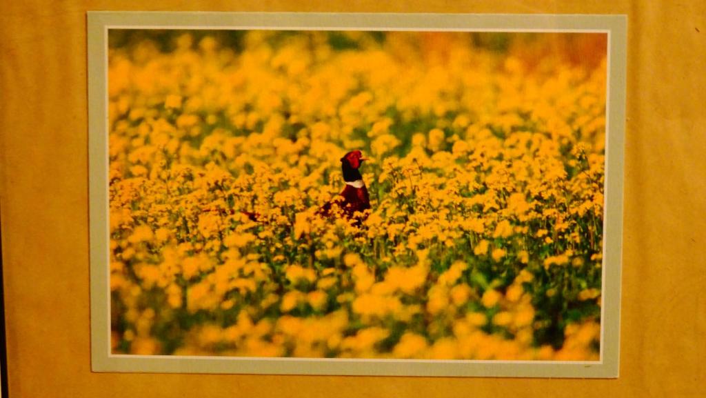 Fotografie z fotogalerie ubytování Pearl B&B v destinaci Jinsha