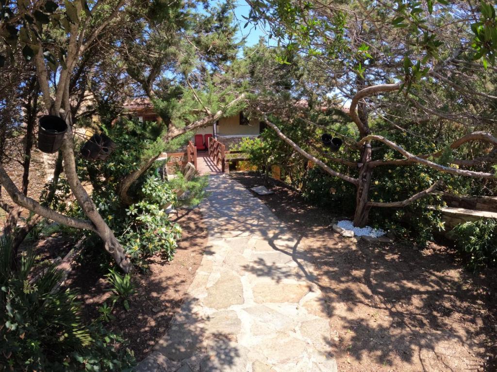 a path in front of a house with trees at Casa La Pelosa in Stintino