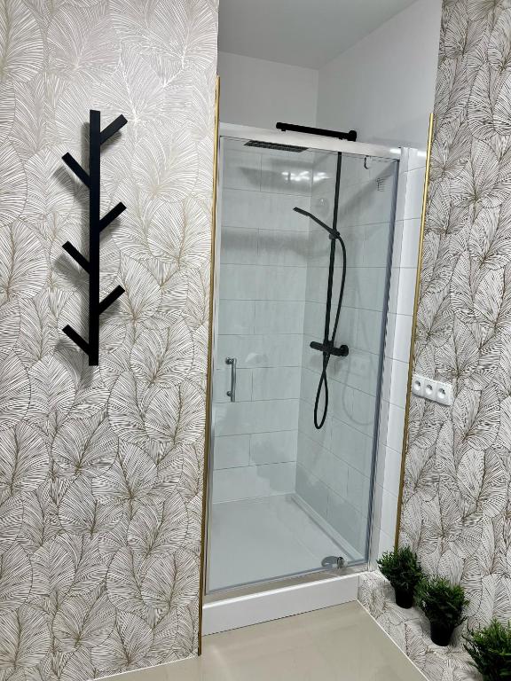 Zielone Apartamenty Katowice Chorzów - Deluxe-Apartment