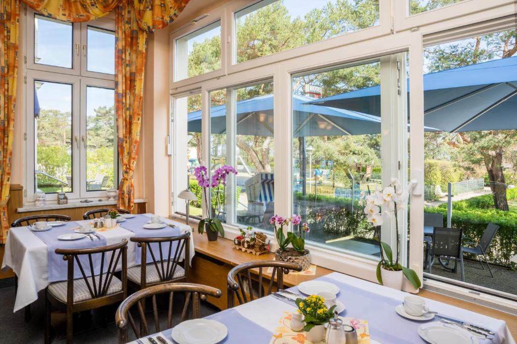 Zahrada ubytování Hotel Seestern