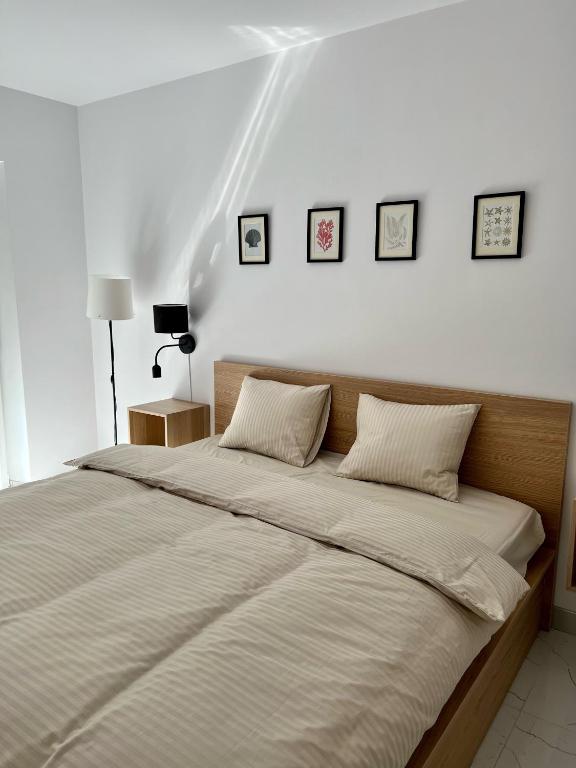 Zielone Apartamenty Katowice Chorzów - 
