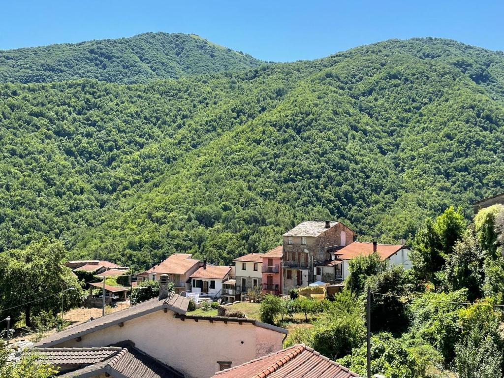 um grupo de casas em frente a uma montanha em Villa Franca Nature Holidays em Rezzo