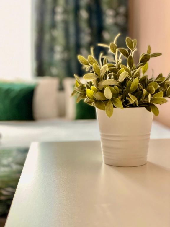 BackPack Apart Rooms - Resim 23