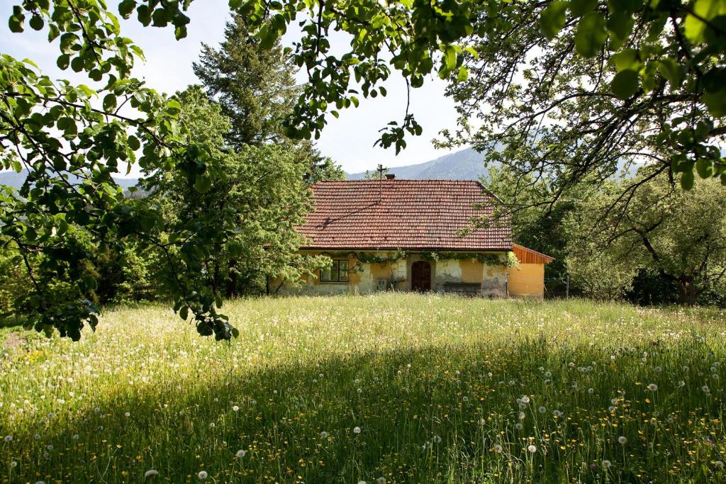 Holiday Home 'Pekovo 1825' في Ljubno: منزل في وسط ميدان عشب