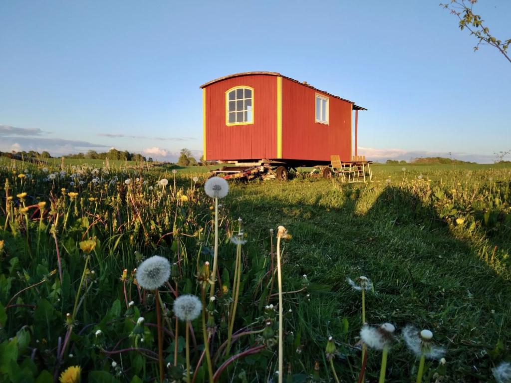 Gula Vagnen - Housity