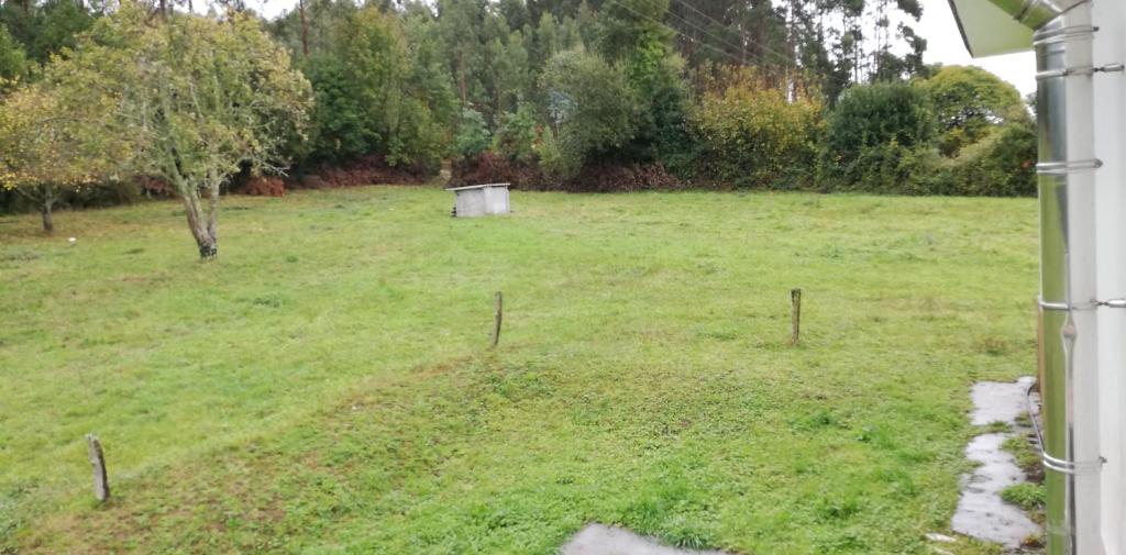 a field of grass with a dog in it at Casa Herbellas in Cedeira