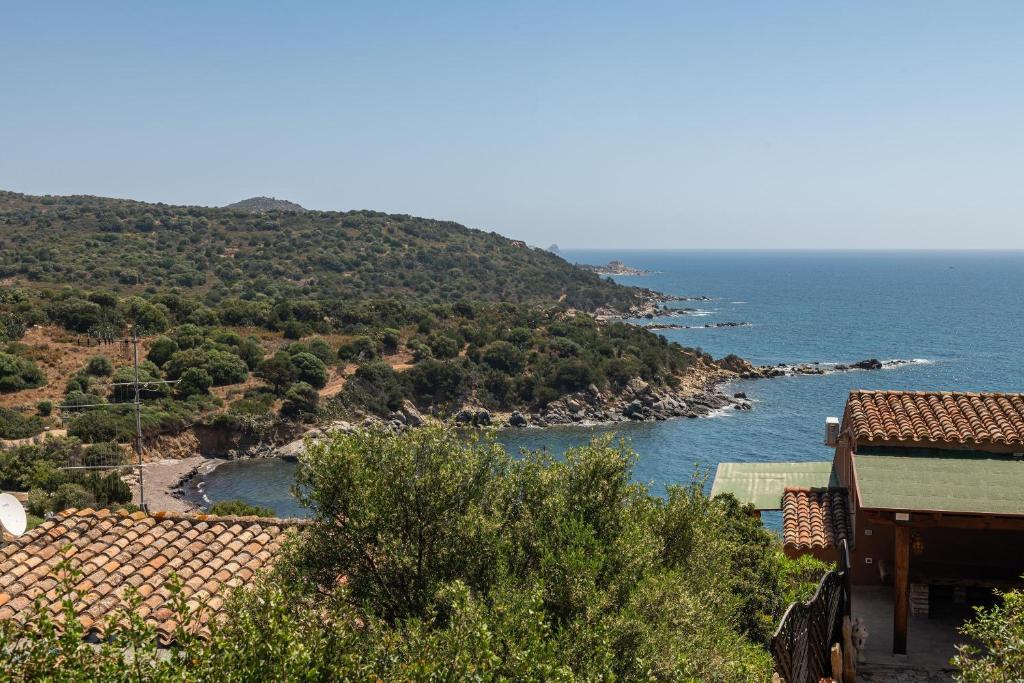 Táj Show holiday homes közelében