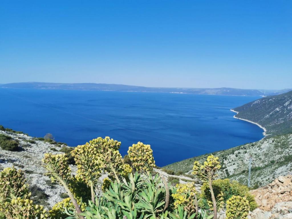 a view of the ocean from the side of a mountain at Guesthouse Stivan (920) in Cres