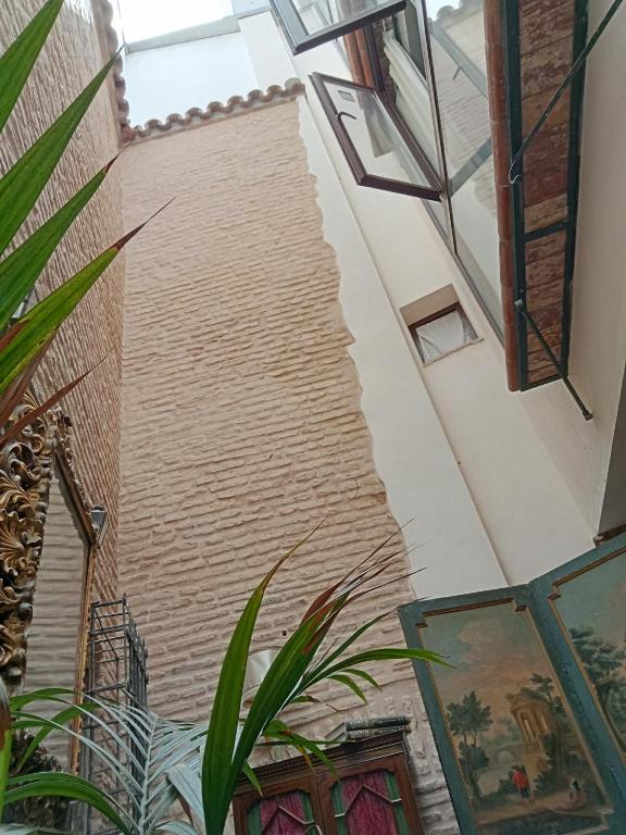 Hostal Casa Del Buen Viaje, Seville – Updated 2023 Prices