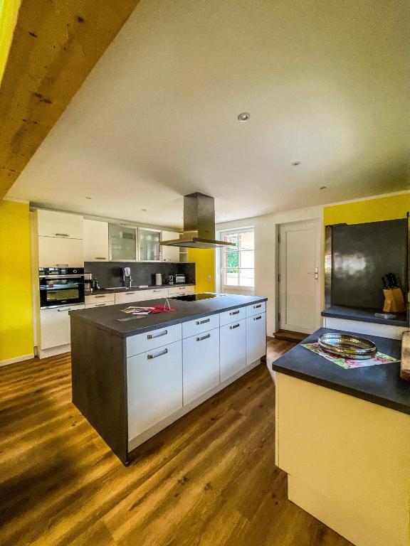 Kuchyň nebo kuchyňský kout v ubytování Altwernigeröder Apparthotel