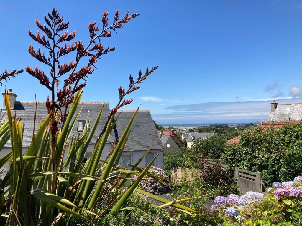 einen Garten mit Blumen und Häusern im Hintergrund in der Unterkunft Résidence Simone Lévy - Rêves de mer in Trébeurden