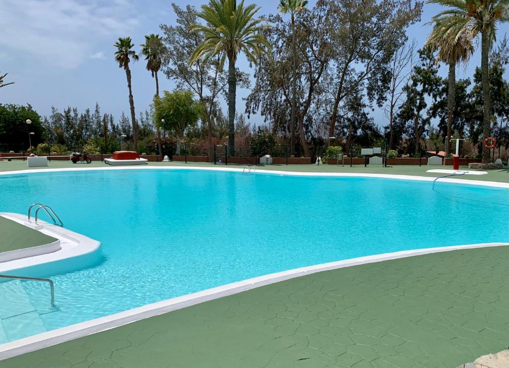 a large blue swimming pool with palm trees in the background at Relax in pasito blanco camping house in Maspalomas