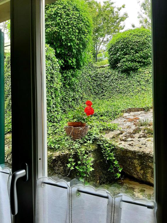 B&B degli Allori - Double Room With Private Bathroom