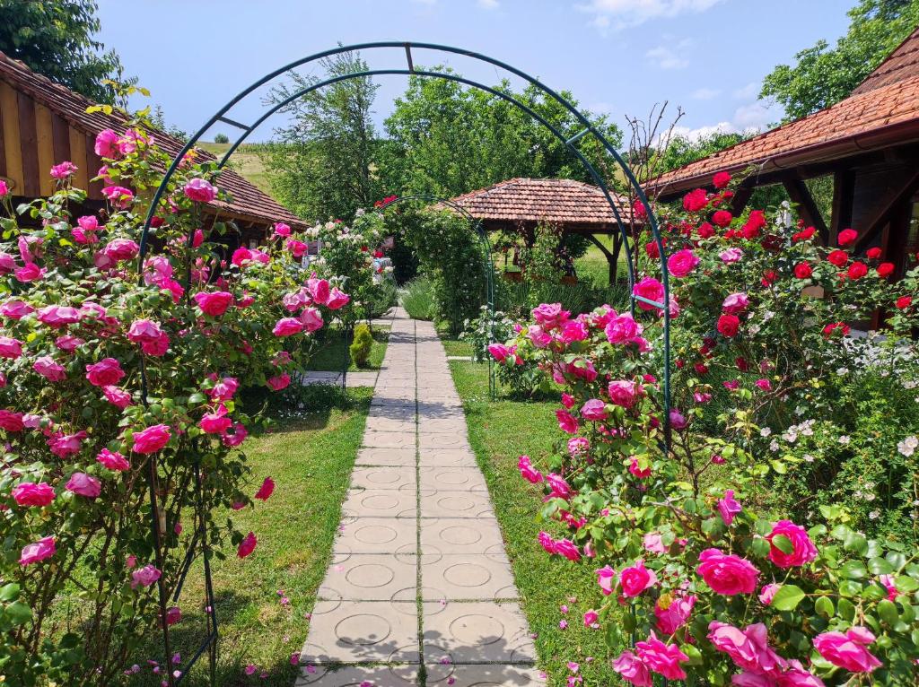 Pod orehom drvena kuća i sauna - 11