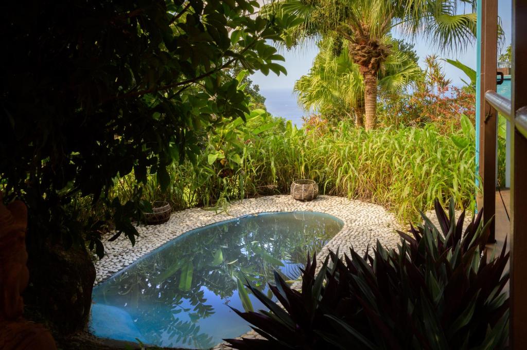 Zahrada ubytování TropicAngel ECOLODGE de Charme
