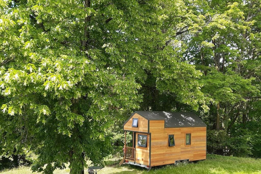 Micro Maison bois / Tiny house au calme