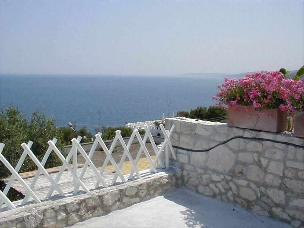 The Seaside Tiny House - Housity