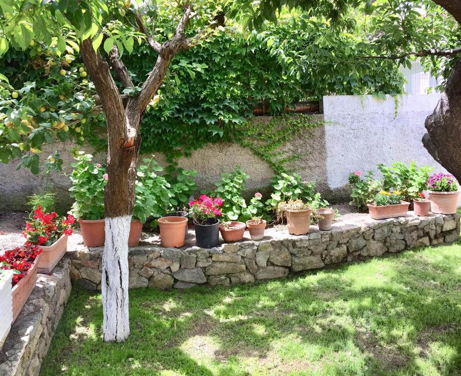 Zahrada ubytování Vento di Terra Ponza