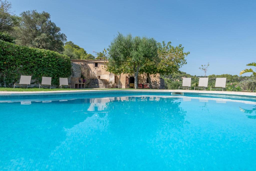 a large blue swimming pool with chairs and trees at Finca sa Ferreta. Cas Concos in Felanitx