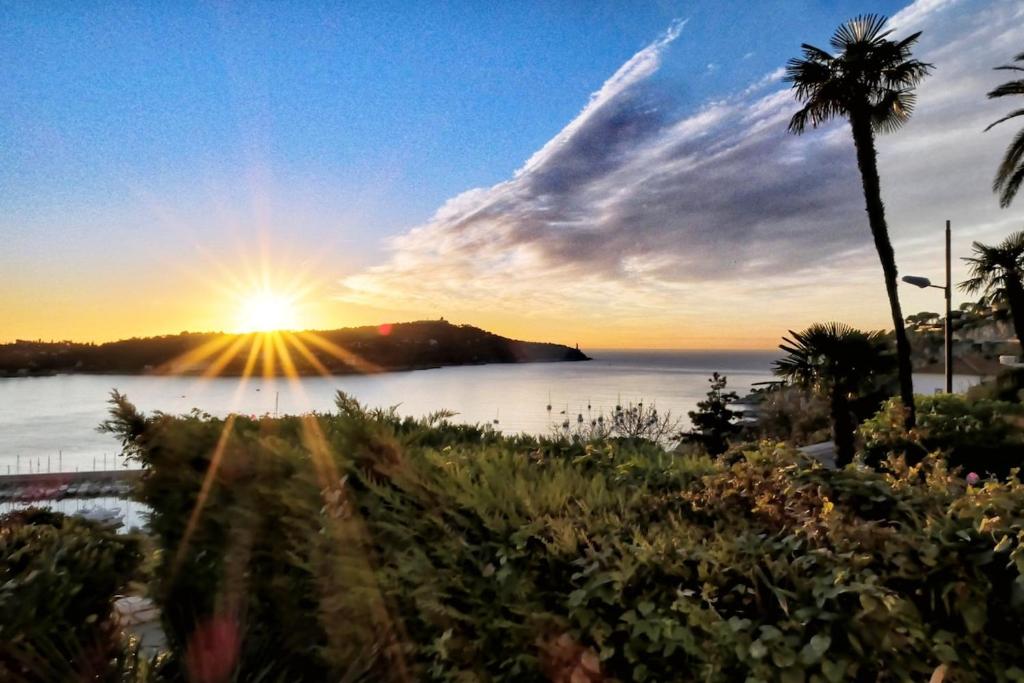 una puesta de sol sobre un cuerpo de agua con una palmera en Villa - Climatisé -Vue mer - Proximité des plages en Villefranche-sur-Mer