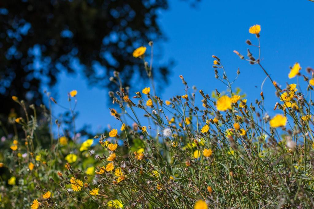 Fotografie z fotogalerie ubytování Villa Bou - PlusHolidays v destinaci Calpe