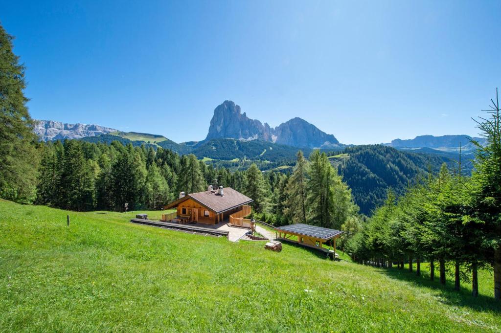 a house in a field with a mountain in the background at Chalet Aghel in Santa Cristina Gherdëina