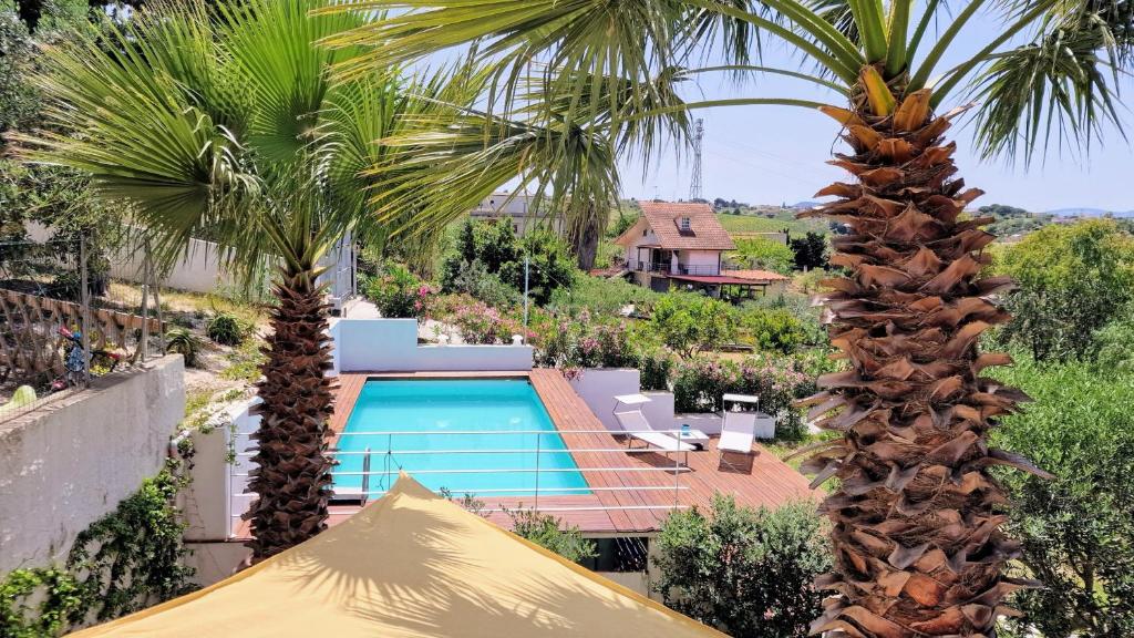 een resort met een zwembad en twee palmbomen bij La piccola casa di Cinzia in Alcamo